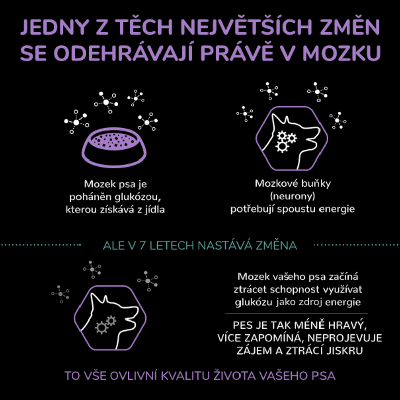 změny v mozku