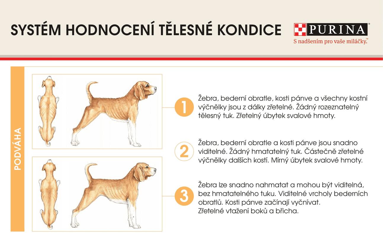 Systém hodnocení tělesné kondice