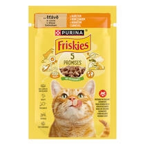 FRISKIES cat kuře