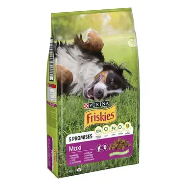 Purina friskies maxi best sale