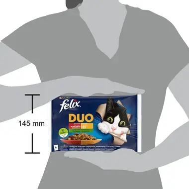 Felix Fantastic Duo multipack výběr se zeleninou 4x85 g