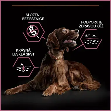 PURINA® PRO PLAN® Large Adult Athletic Dog Sensitive Skin, losos