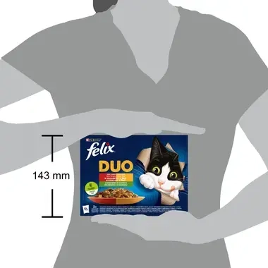 Felix Fantastic Duo multipack lahodný výběr se zeleninou 12x85 g