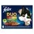 Felix Fantastic Duo multipack lahodný výběr se zeleninou 12x85 g