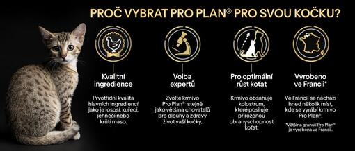 Pro Plan