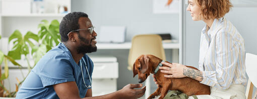 Puppy in vet waiting room with vet and owner