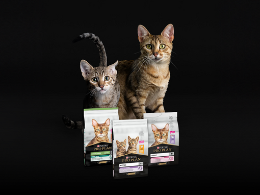 ProPlan Sampling Cat