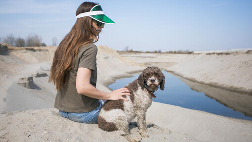 Lagotto romagnolo